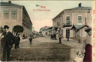 1904 Stryi, Stryj, Strij; Ul. Goluchowskiego / street view, publisher's shop. Montage with lady, dog and gentlemen (EB)