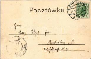 1904 Stryi, Stryj, Strij; Ul. Goluchowskiego / street view, publisher's shop. Montage with lady...