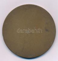 DN "Alkotó Ifjúsági Pályázat FMKT-FAT" egyoldalas bronz emlékérem (70mm) T:AU