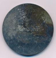 Kisfaludy Stróbl Zsigmond (1884-1975) 1922. "Budapesti Építők S.C." egyoldalas bronz emlék...