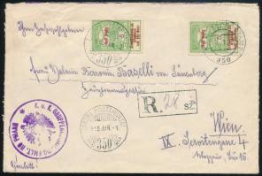 1915 Ajánlott tábori levél 5 db Hadisegély 5f bélyeggel Bécsbe / Registered field post cover "K.u.K. GRUPPENKOMMANDO FMLT. HOFMANN" + "TP 350"