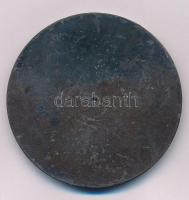 Kisfaludy Stróbl Zsigmond (1884-1975) 1922. "Budapesti Építők S.C." egyoldalas bronz emlék...