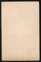 Székács József (1809-1876) a Bányai evangélikus egyházkerület püspökének portréja, festmény nyomán k...