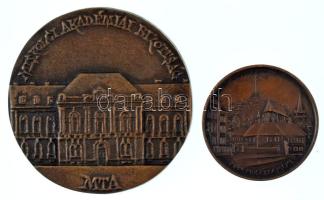 Tóth Sándor (1933-2019) 1985. "425 éves a Földes Ferenc Gimnázium, Miskolc 1985" kétoldalas bronz emlékérem (42,5mm) + 1996. "MTA - Miskolci Akadémiai Bizottság" egyoldalas, öntött bronz emlékérem, hátoldalán névre szóló gravírozással (69mm) T:AU,XF, patina