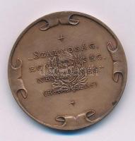 Bozó Gyula (1913-2004) DN "Eötvös József- A Magyar Népoktatás Megteremtője" kétoldalas bro...