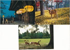 NARA - 18 db megíratlan MODERN japán város képeslap saját tokban / views of Nara: 18 modern unused t...