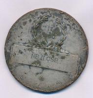 1950. "Magyar Tekéző Szövetség 1934 - NB II CSB. II 1950" kétoldalas, ezüstözött bronz díj...