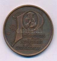 Fritz Mihály (1947-) DN "Pedagógus Szolgálati Emlékérem" egyoldalas bronz emlékérem (42,5mm) T:UNC