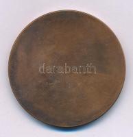 Fritz Mihály (1947-) DN "Pedagógus Szolgálati Emlékérem" egyoldalas bronz emlékérem (42,5m...