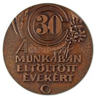 Lajos József (1936-) DN "A munkában eltöltött évekért" egyoldalas bronz emlékérem (~97mm) T:AU