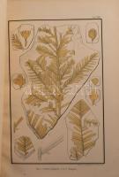 A Magyar Királyi Földtani Intézet évkönyve V. köt.
Benne: Heer Oswald: Pécsvidékén előforduló növén...