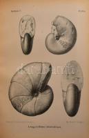 A Magyar Királyi Földtani Intézet évkönyve V. köt.
Benne: Heer Oswald: Pécsvidékén előforduló növén...