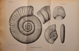 A Magyar Királyi Földtani Intézet évkönyve V. köt.
Benne: Heer Oswald: Pécsvidékén előforduló növén...