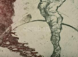 Jelzés nélkül, feltehetően román művész: Metamorfózis. Rézkarc, papír. 20x13 cm