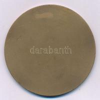 DN "Budapest - Mátyás templom" egyoldalas bronz emlékérem (60mm) T:AU