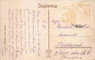 Zimony, Semlin, Zemun; Benzanijska ul. I. Levi / utca, üzletek / street, shops (Rb)