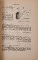 Gesell Sándor kolligátum, 5 művéből. Mind a szerző, terebesfejérpataki Gesell Sándor (1839-1919) kir...