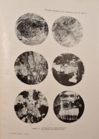 Vendl, A[ladár]: A Szászvárosi és Szebeni Havasok kristályos területe. / Das Kristallin des Sebeser-...