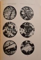 Pálfy, [Mór] - Rozlozsnik, [Pál]: A Bihar- és Béli hegység földtani viszonyai.
I. rész: Rozlozsnyik...