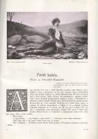 Petőfi-album. Adatok, okmányok és képek Petőfi Sándor diadalútjáról.
[Budapest, 1907]. Pesti Napló ...