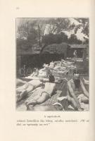 Bucsányi [Gyula]: 
A napfény gyógyhatása és a napfürdő.
Budapest, (1913). Légrády Testvérek (ny.) ...