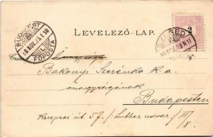 1898 Szeged, Széchenyi tér, Városháza, Városi színház, Közúti vashíd a rakparttal, Híd utca, MÁV pal...