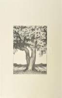 Olvashatatlan jelzéssel: Öreg fa XI., 2006. Litográfia, papír. 5/20 számozással. 28x21 cm