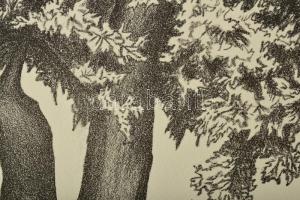 Olvashatatlan jelzéssel: Öreg fa XI., 2006. Litográfia, papír. 5/20 számozással. 28x21 cm