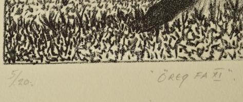 Olvashatatlan jelzéssel: Öreg fa XI., 2006. Litográfia, papír. 5/20 számozással. 28x21 cm