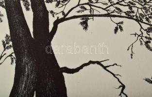 Olvashatatlan jelzéssel: Öreg fa X, 2006. Litográfia, papír. 19/20 számozással. 32x22 cm