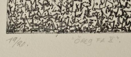 Olvashatatlan jelzéssel: Öreg fa X, 2006. Litográfia, papír. 19/20 számozással. 32x22 cm