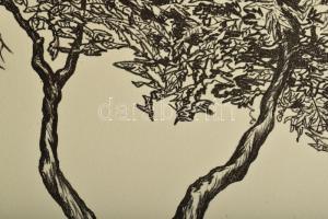 Olvashatatlan jelzéssel: Öreg fa XIV, 2006. Litográfia, papír. 6/20 számozással. 30x21 cm