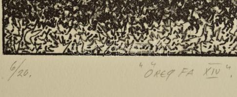 Olvashatatlan jelzéssel: Öreg fa XIV, 2006. Litográfia, papír. 6/20 számozással. 30x21 cm