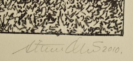 Olvashatatlan jelzéssel: Öreg fa XIV, 2006. Litográfia, papír. 6/20 számozással. 30x21 cm