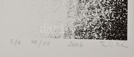 Olvashatatlan jelzéssel: Tükröződés, 2006. Litográfia, papír. Művészpéldány EA XIII/XIII számozással...