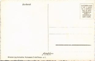 Radnaborberek, Borberek-fürdő, Valea Vinului; Mosómű, vízmű / water plant, waterworks