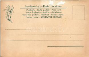 Tátra, Magas Tátra, Vysoké Tatry; Dunajeci hajózás, tutajok magyar zászlókkal. Feitzinger Ede Nr. 35...