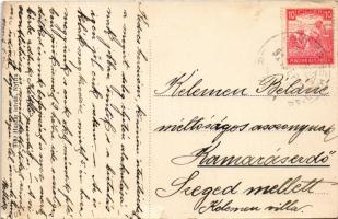 1917 Nyitra, Vármegye utca, gyógyszertár, üzlet, Singer varrógép reklám. Huszár István kiadása / str...