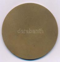 1971. "Borsodmegyei Vendéglátó Napok - Vendégüllát Borsod" egyoldalas bronz emlékérem (70m...