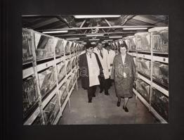 1978 Dunavarsány, Petőfi MGTSZ látogatás fényképalbuma, összesen 48 db fotóval, az egyik képen Kádár...