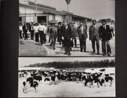 1978 Dunavarsány, Petőfi MGTSZ látogatás fényképalbuma, összesen 48 db fotóval, az egyik képen Kádár...