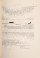 Nopcsa, [Ferenc] Franz: Geographie und Geologie Nordalbaniens mit einem Anhange von H. v. Mzik: Beit...