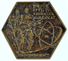 DN (1970-1980 k.) "VÉDJÜK ÉPÍTJÜK SZOCIALISTA HAZÁNKAT MN 2986 PAKS" egyoldalas, öntött bronz plakett (73x82mm) T:XF, patina