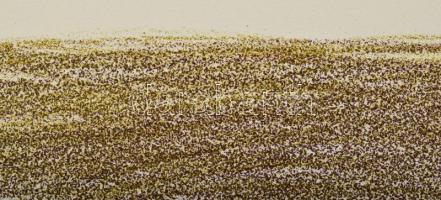 Olvashatatlan jelzéssel: Gesztusok. Litográfia, papír. Művészpéldány E.A. 22/17 számozással. 45x31 c...