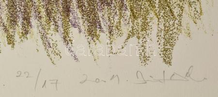 Olvashatatlan jelzéssel: Gesztusok. Litográfia, papír. Művészpéldány E.A. 22/17 számozással. 45x31 c...