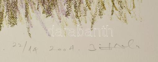 Olvashatatlan jelzéssel: Gesztusok. Litográfia, papír. Művészpéldány E.A. 22/14 számozással. 45x31 c...