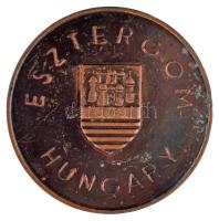 Szabó Ferenc (1944-) 1981. "Noninvaziv Kardiológiai Vizsgálati Módszerek - I. Tudományos Kollok...