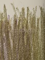 Olvashatatlan jelzéssel: Gesztusok. Litográfia, papír. Művészpéldány E.A. 22/16 számozással. 45x31 c...