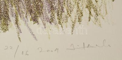 Olvashatatlan jelzéssel: Gesztusok. Litográfia, papír. Művészpéldány E.A. 22/16 számozással. 45x31 c...