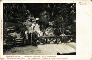 Tátra, Vysoké Tatry; Csorbai-tó mellett, Lajos forrás, határvonal Liptó és Szepes között. Feitzinger Ede 1902/12. 255 Kr. / Lajos Quelle, Liptauer und Zipser Comitatsgrenze / border between Liptov and Spis, spring near Strbské pleso (Rb)